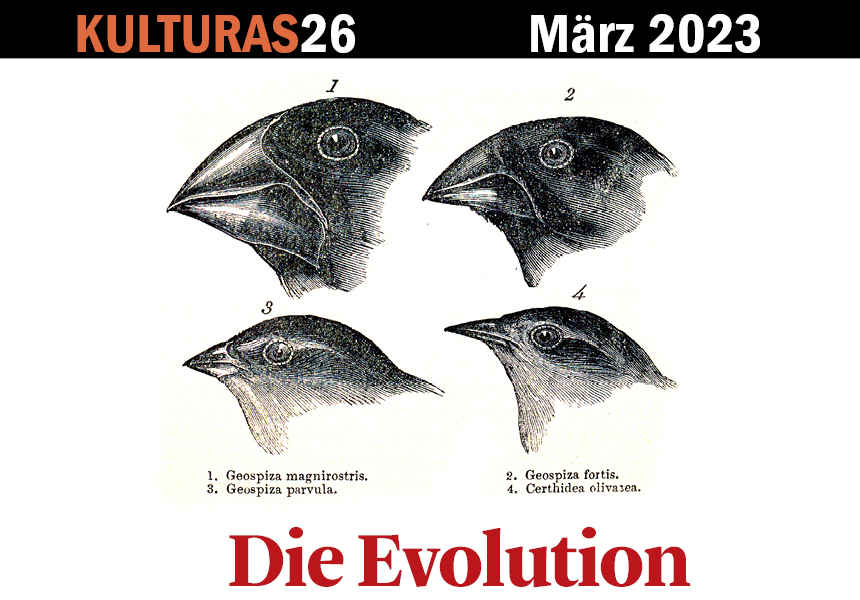 Evolution